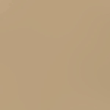 Chocolate Malt Bazzill Card Shoppe Heavyweight Cardstock 8,5"X11"